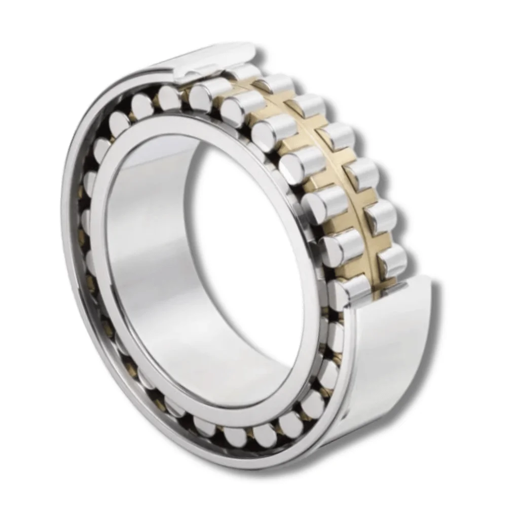 Double Row Cylindrical Roller Bearings